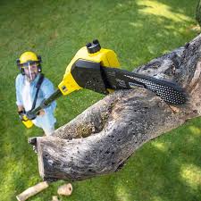 Mulching Services in Lebanon South, PA